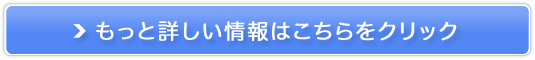 UMIEFlX̐`[[̔TCg